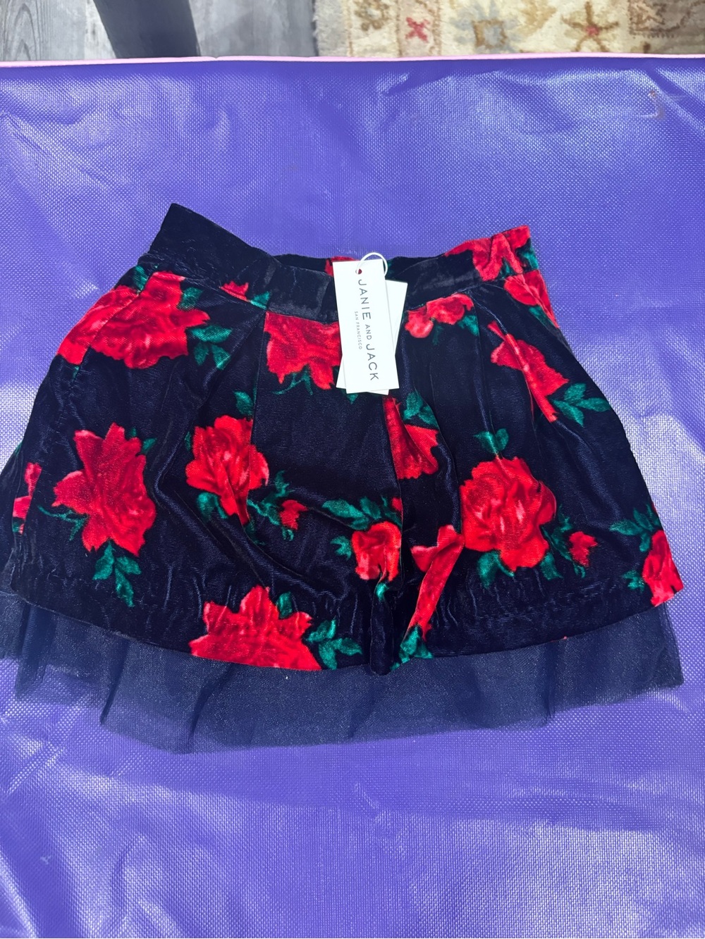 Janie and Jack Black Mini Skirt with Red Rose Print